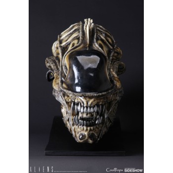 Aliens Replica 1/1 Alien Warrior Head 45 cm